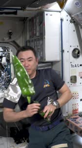 Plant Habitat-04 Peppers