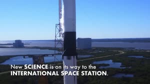 Highlights of Science Launching on SpaceX CRS-17