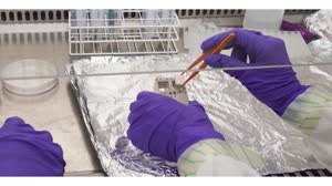 SpaceX's CRS-21 Mission to the Space Station: What's On Board