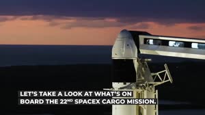 SpaceX's CRS-22 Mission to the Space Station: What's On Board