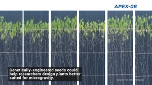 Science Launching on SpaceX's 23rd Cargo Resupply Mission to the Space Station