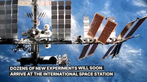 Science Launching on SpaceX's 24th Cargo Resupply Mission to the Space Station