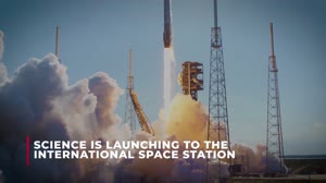 Science Launching on SpaceX's 31st Cargo Resupply Mission to the Space Station