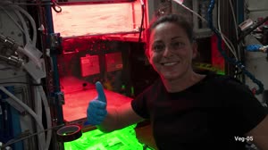 NASA's SpaceX Crew-5: A Scientific Mission