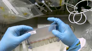 The Science of NASA's SpaceX Crew-7 Mission