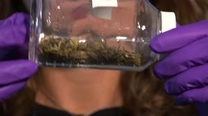 Surprisingly STEM: Space Waste Engineer