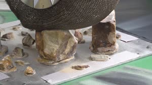 Surprisingly STEM: Space Tire Engineer