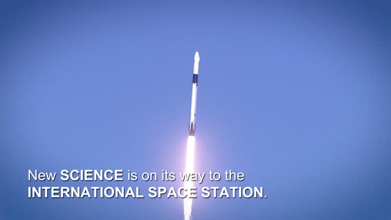 jsc2019m000569-Highlights_of_Science_Launching_on_SpaceX_CRS-18-MP4