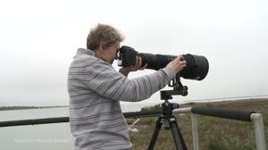 Space Station Images Trace Bird Migrations