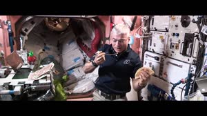 STEMonstration: Five Senses