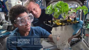 Best Space Station Science Images of 2022