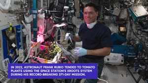 The Case of the Missing Space Tomatoes