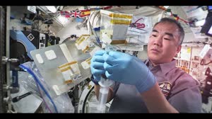 STEMonstrations: Momentum and Impulse