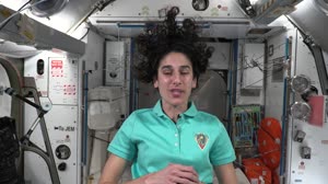 STEMonstrations: Cell Organelles