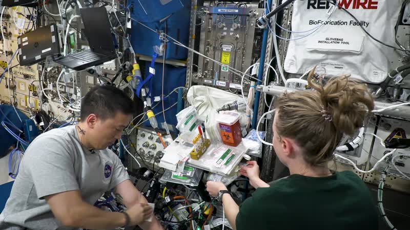 Space Station Astronauts Collect Blood Samples for Science