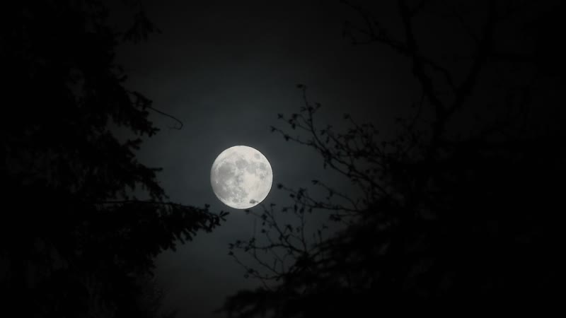 Artemis II Crew Talks about the Moon