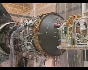 ksc_101311_lsp_terriers